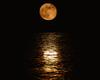 Full_moon Full_moon